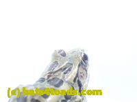 /home//u458753944/public_html/sourcegallery//Roxborough Toad Detour/2013-2019/2017/P3270671.JPG